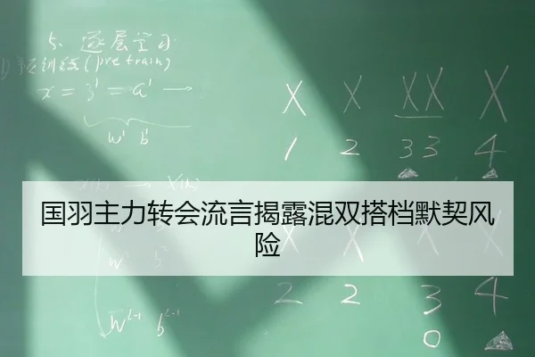 国羽主力转会流言揭露混双搭档默契风险 | Leyu Sports
